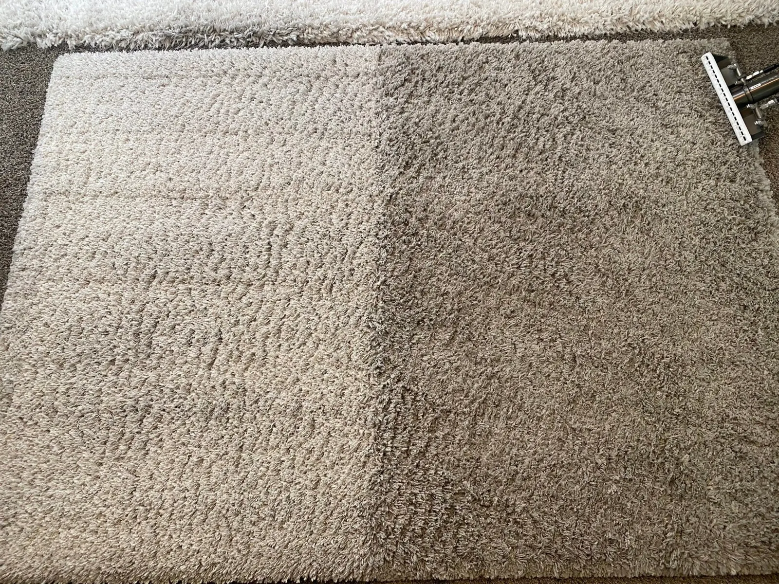 Area rug cleaning in progress