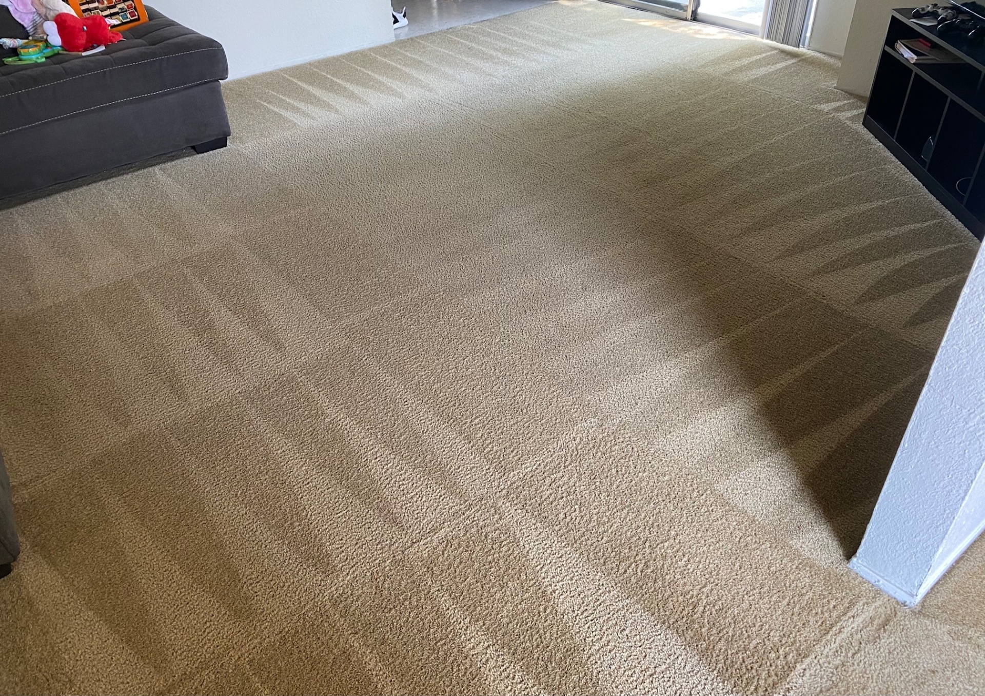 Freshly cleaned carpet
