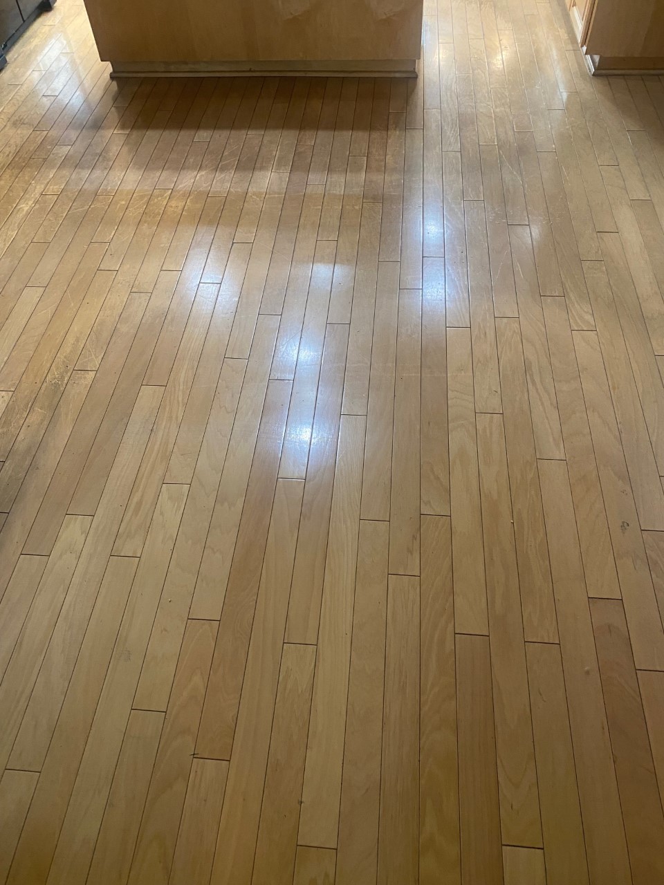 Hard-floor care