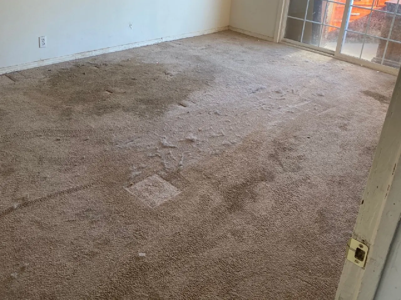 Freshly cleaned carpet in a Bakersfield home